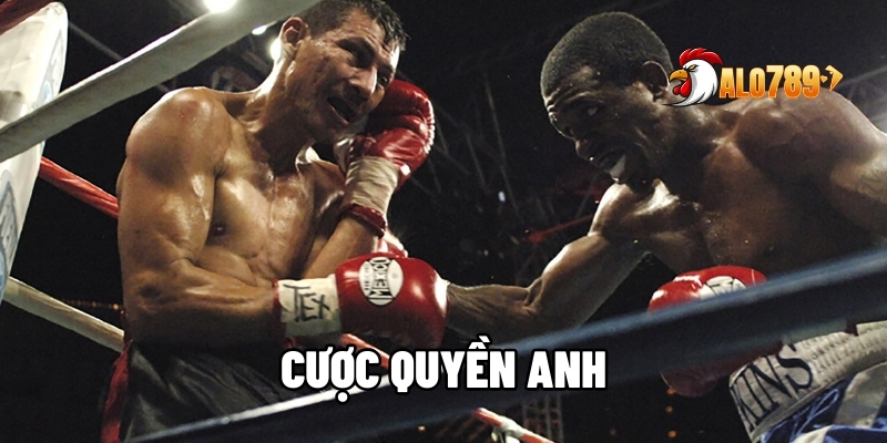 Cược Quyền Anh Đỉnh Cao - Đặt Kèo Chuẩn, Hốt Bạc Nhanh Tại ALO789 1 Cược quyền anh